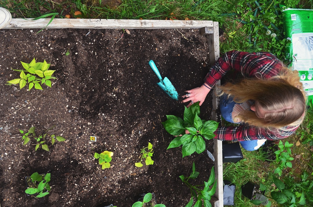 rejoignez le club de jardinage scolaire pour apprendre à cultiver des plantes, découvrir la nature et partager des moments conviviaux avec vos camarades.