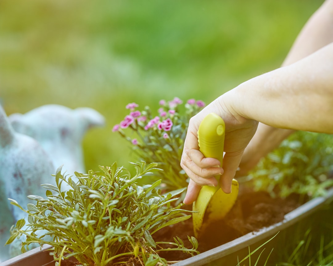 des écoliers jardinent ensemble, découvrant la nature et apprenant à cultiver des plantes dans un environnement éducatif et ludique.