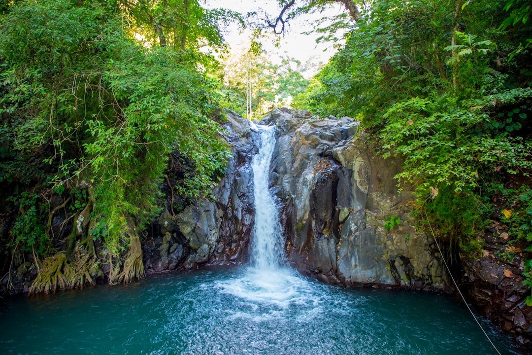 découvrez les jardins secrets, des havres de paix cachés où la nature révèle toute sa beauté et son mystère.