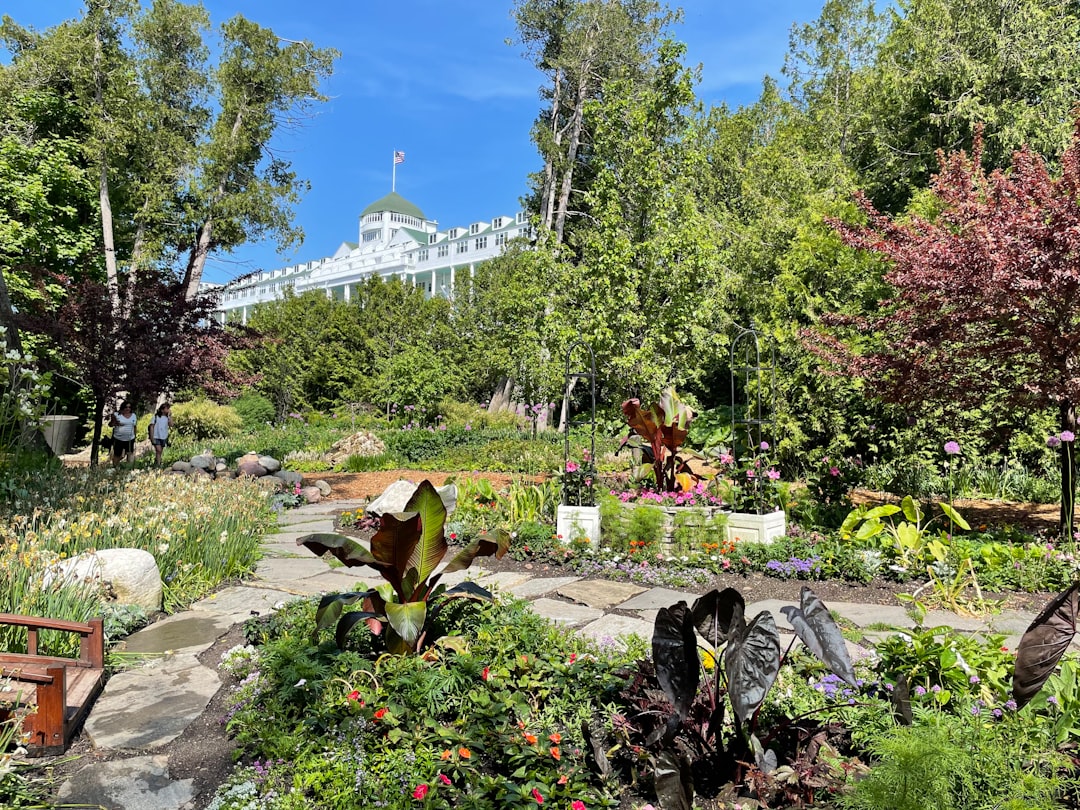 découvrez les secret gardens, des havres de paix et de beauté cachés, parfaits pour une escapade nature et sérénité.
