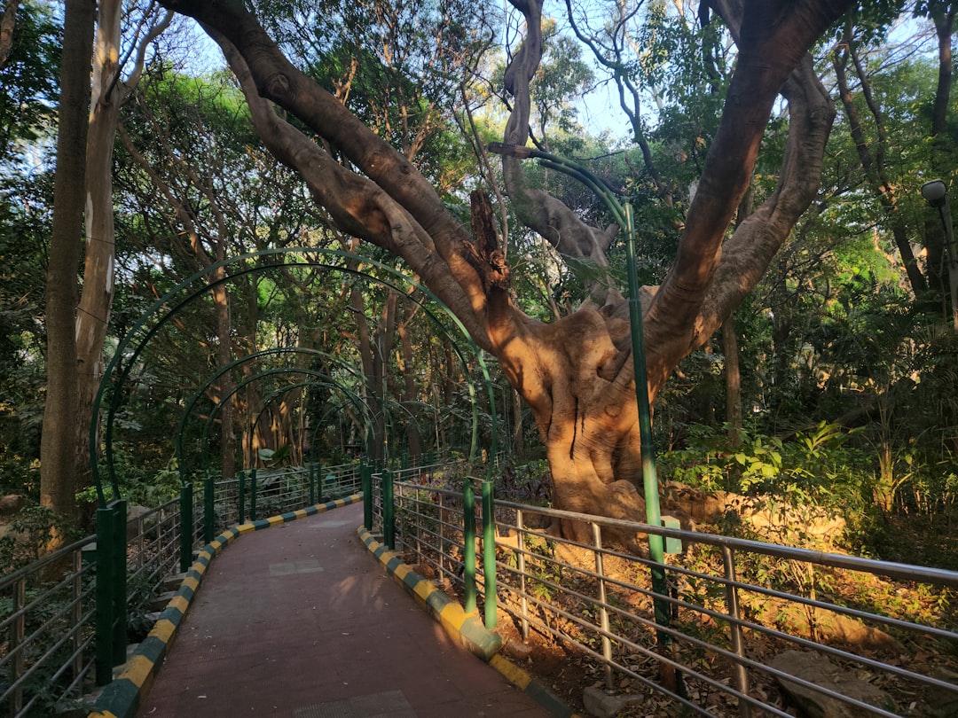 découvrez comment créer un jardin d'ombre élégant et apaisant avec des plantes adaptées pour un coin verdoyant même à l'ombre.