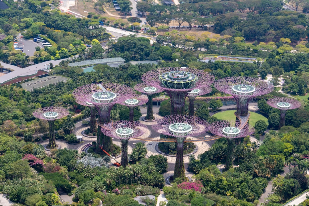 découvrez les jardins partagés, des espaces communautaires où voisins et amis cultivent ensemble fruits, légumes et fleurs, tout en favorisant la convivialité et le respect de l'environnement. rejoignez ce mouvement pour un avenir durable et engagé !