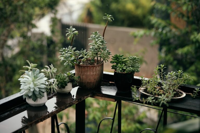 astuces pratiques pour optimiser et embellir un petit balcon, même avec un espace restreint.