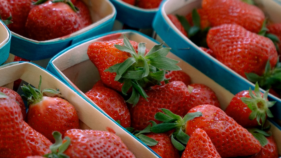 découvrez snack garden, votre espace gourmand avec une sélection délicieuse de snacks frais et savoureux pour toutes vos envies.