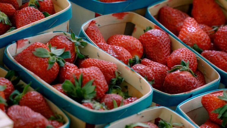 découvrez snack garden, votre destination gourmande pour des snacks savoureux et faits maison, parfaits pour toutes vos envies de grignotage.