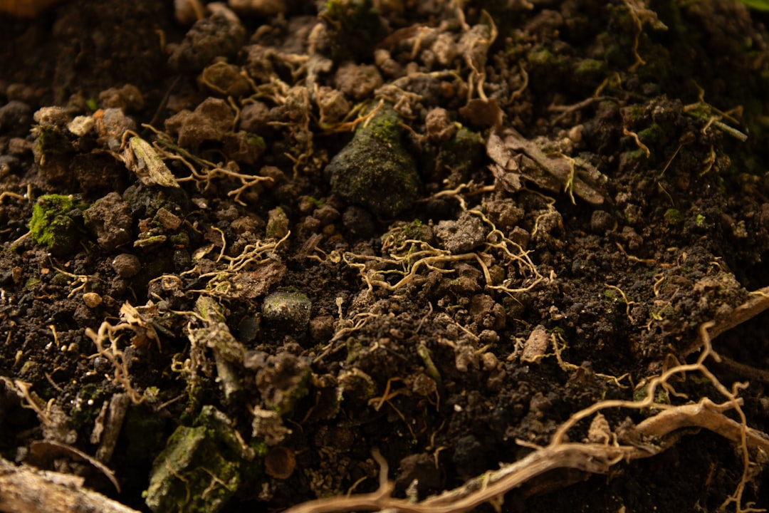 découvrez l'importance de l'humidité du sol pour l'agriculture, le jardinage et la gestion environnementale afin d'optimiser la croissance des plantes et préserver les ressources en eau.