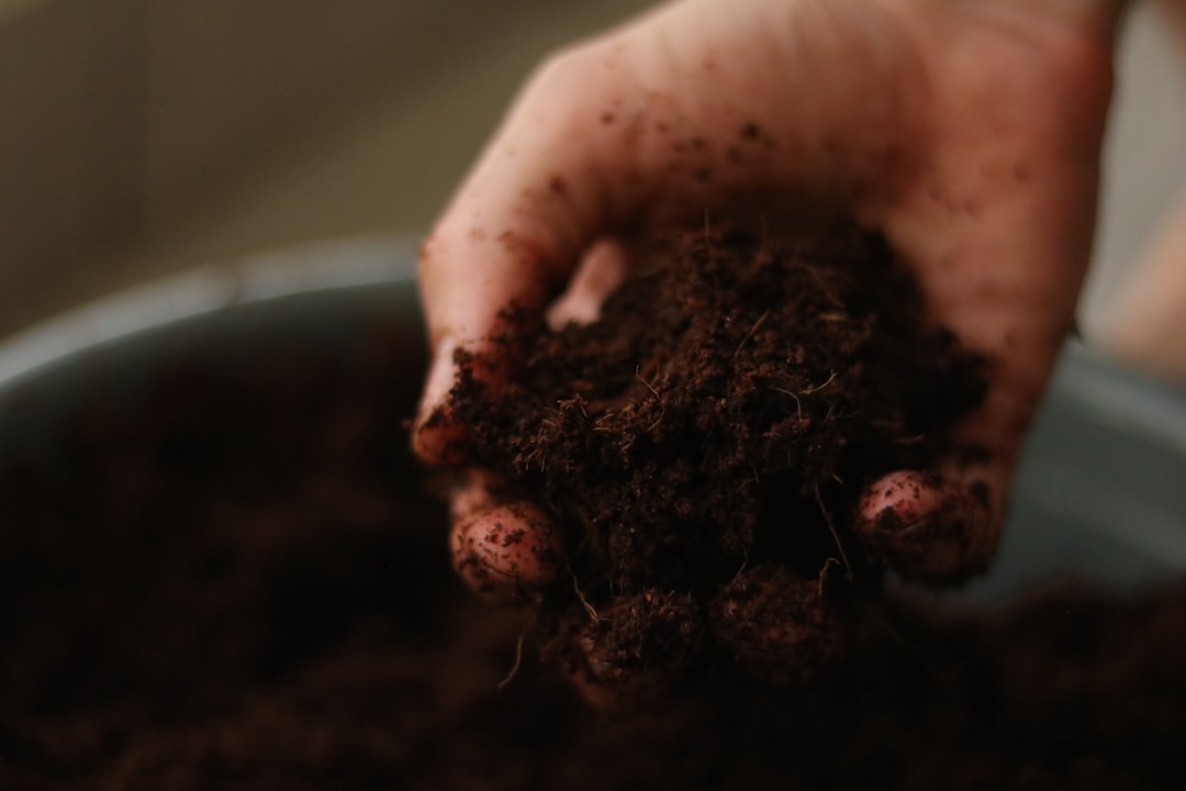 découvrez tout sur l'humidité du sol : importance, méthodes de mesure et impact sur l'agriculture et l'environnement.