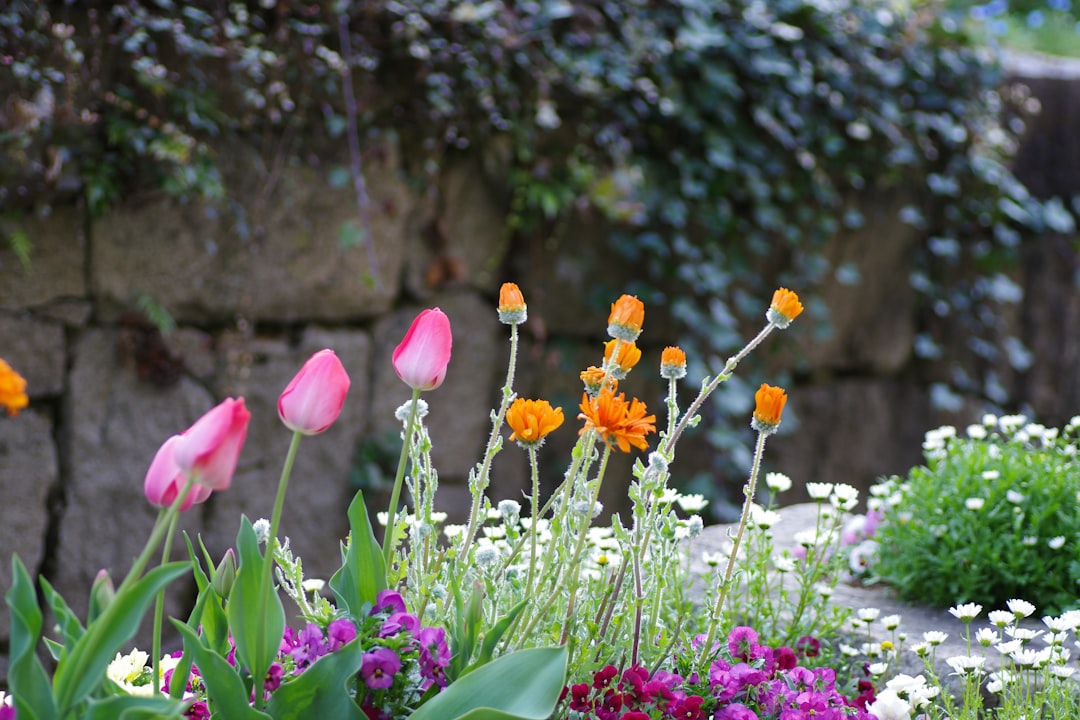 conseils et astuces pour réussir votre jardinage de printemps : plantations, entretien des fleurs, potager et équipements indispensables pour une saison florissante.