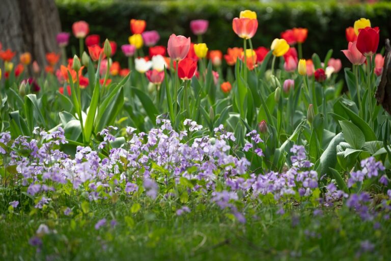 conseils et astuces pour le jardinage au printemps : préparation du sol, choix des plantes, et entretien pour un jardin éclatant de vie.