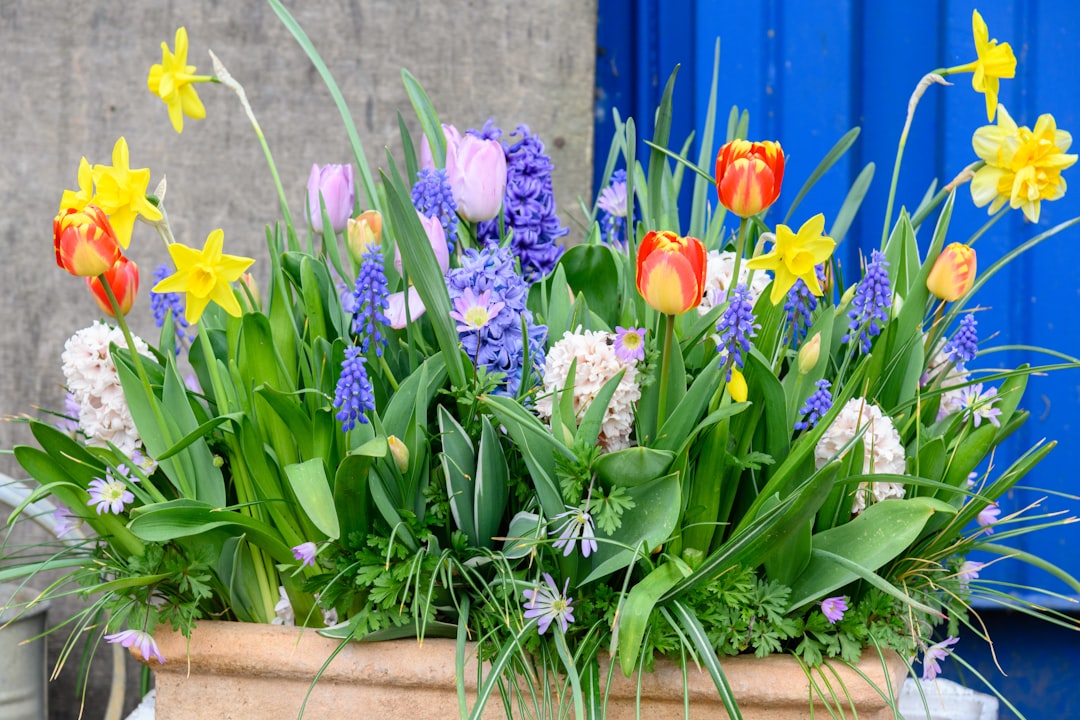 découvrez nos conseils de jardinage printanier pour préparer votre jardin, planter des fleurs et légumes, et profiter d'un espace extérieur florissant et coloré.