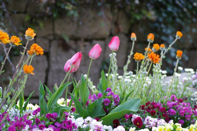 découvrez nos conseils de jardinage printanier pour embellir votre jardin, favoriser la croissance des plantes et profiter pleinement de la saison.