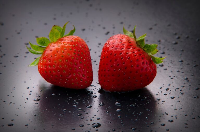 découvrez comment multiplier facilement vos fraisiers grâce à nos méthodes efficaces de propagation de fraises pour un jardin toujours plus gourmand.