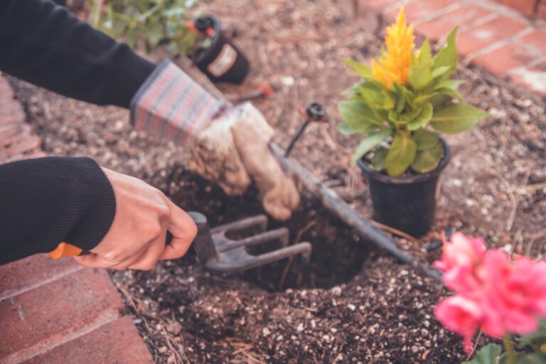 découvrez nos conseils essentiels pour un jardin d'été florissant : astuces de plantation, entretien et décoration pour profiter pleinement de la saison estivale.