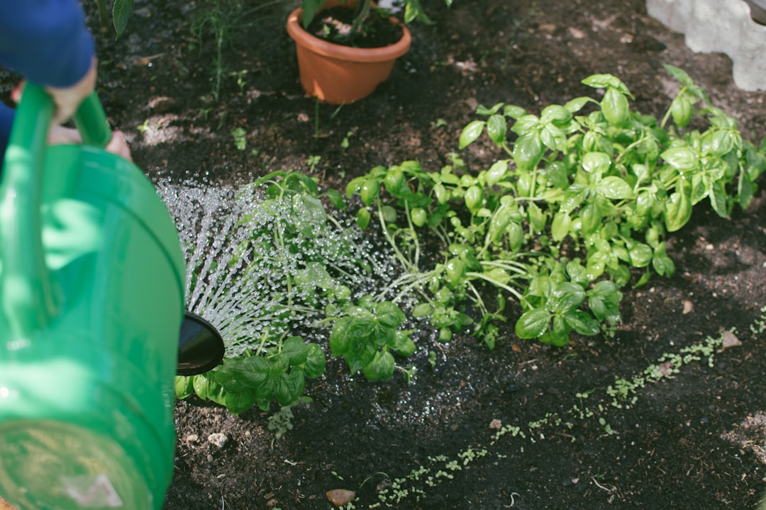 découvrez nos conseils et astuces pour réussir votre jardin en été, profiter des beaux jours et faire fleurir votre espace extérieur.