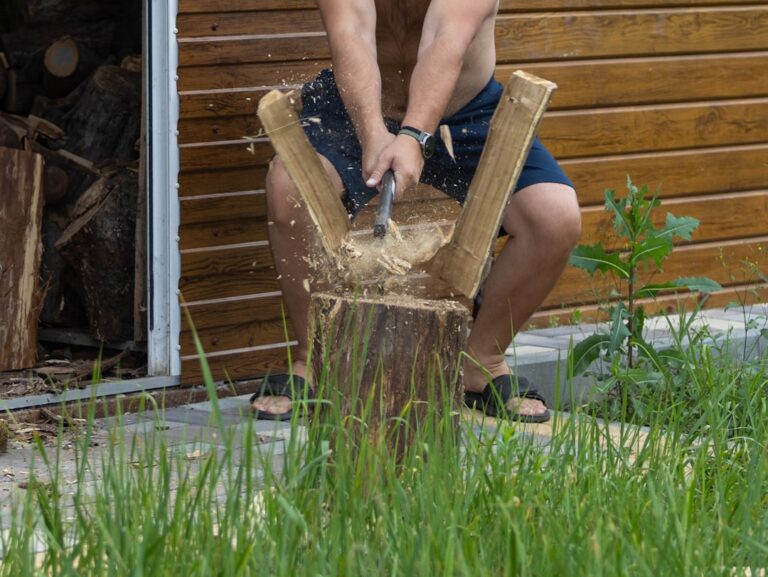 découvrez les défis du jardinage en été et apprenez comment protéger vos plantes contre la chaleur, la sécheresse et les nuisibles pour un jardin florissant toute la saison.