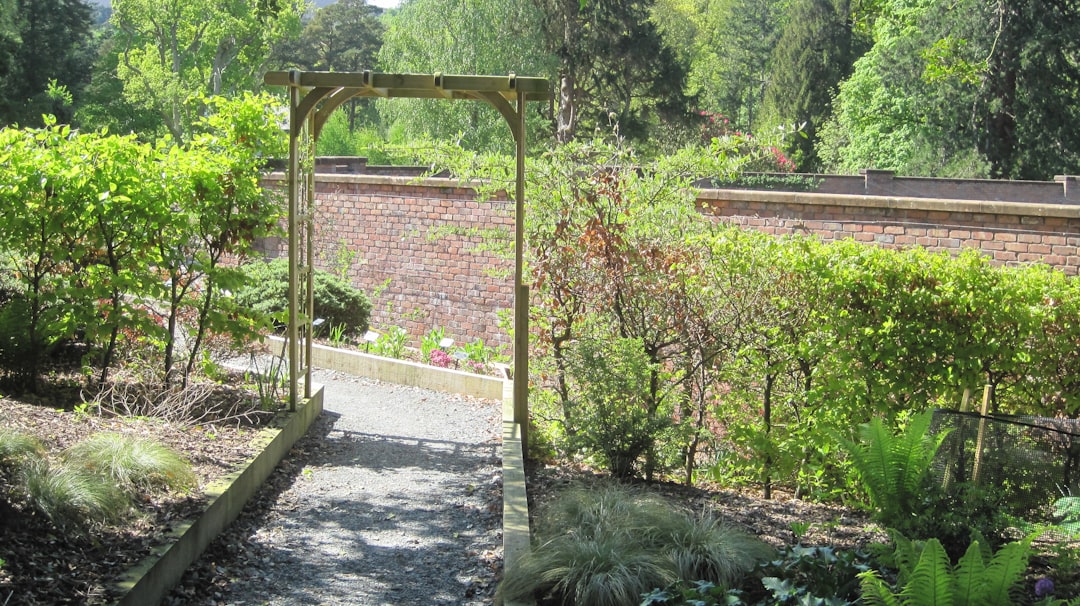 découvrez nos magnifiques jardins d'été, parfaits pour profiter du soleil et de la nature en toute sérénité.