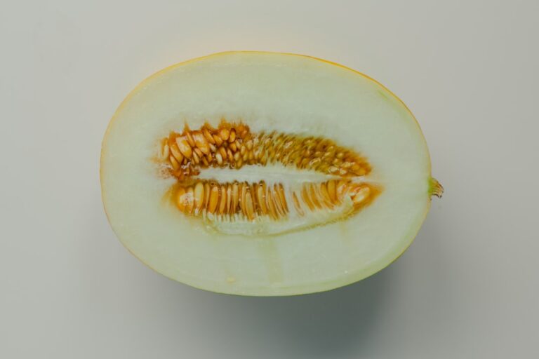 découvrez l'été avec summer melon, un fruit frais et délicieux parfait pour se rafraîchir et savourer la douceur estivale.