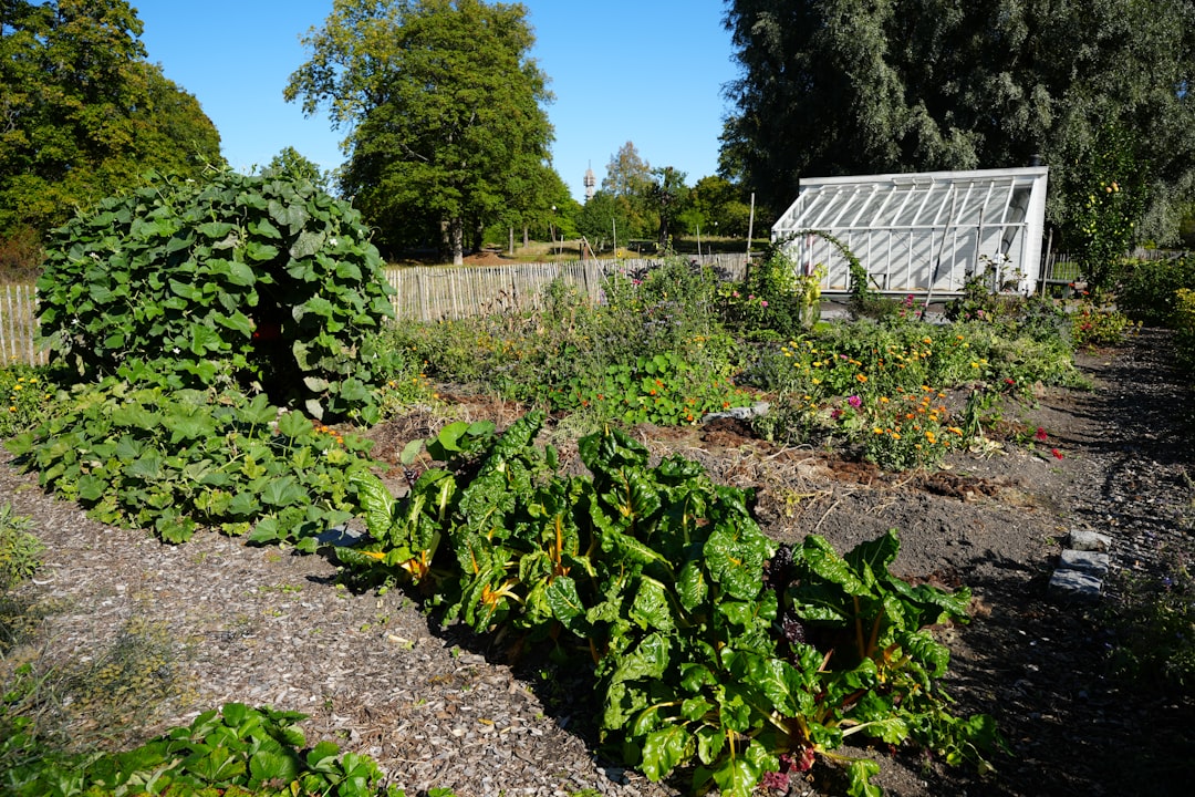 découvrez nos conseils et astuces pour un jardinage durable, respectueux de l'environnement, favorisant la biodiversité et la santé du sol.