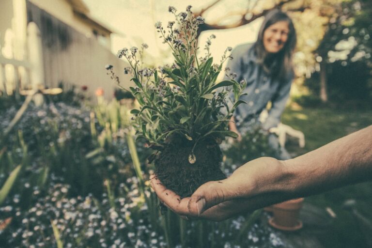 découvrez nos conseils et astuces pour un jardinage durable, respectueux de l'environnement et bénéfique pour la biodiversité.