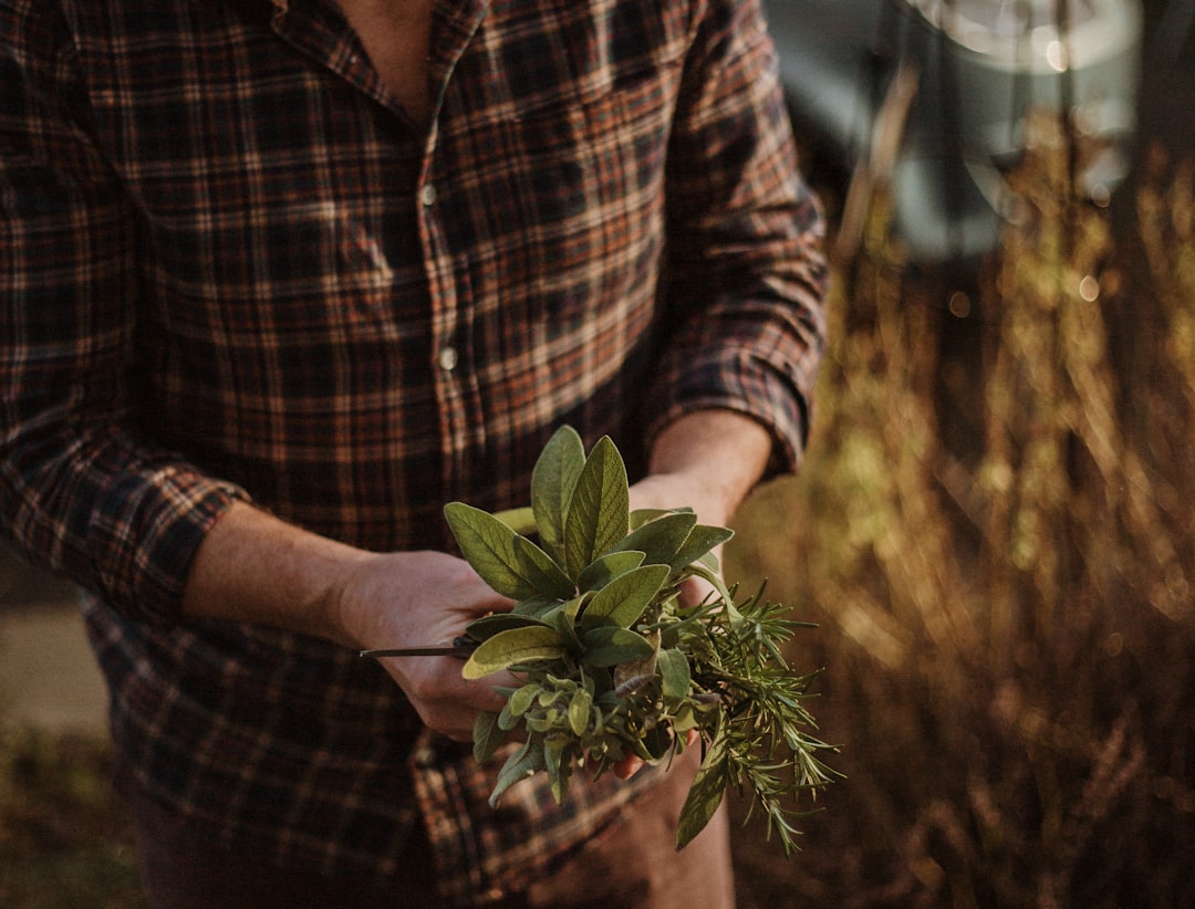 découvrez des conseils et astuces pour un jardinage durable, favorisant la préservation de l'environnement grâce à des pratiques écologiques et responsables.