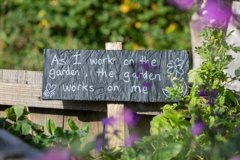 découvrez des conseils pratiques et écoresponsables pour un jardinage durable, respectueux de l'environnement et favorisant la biodiversité.