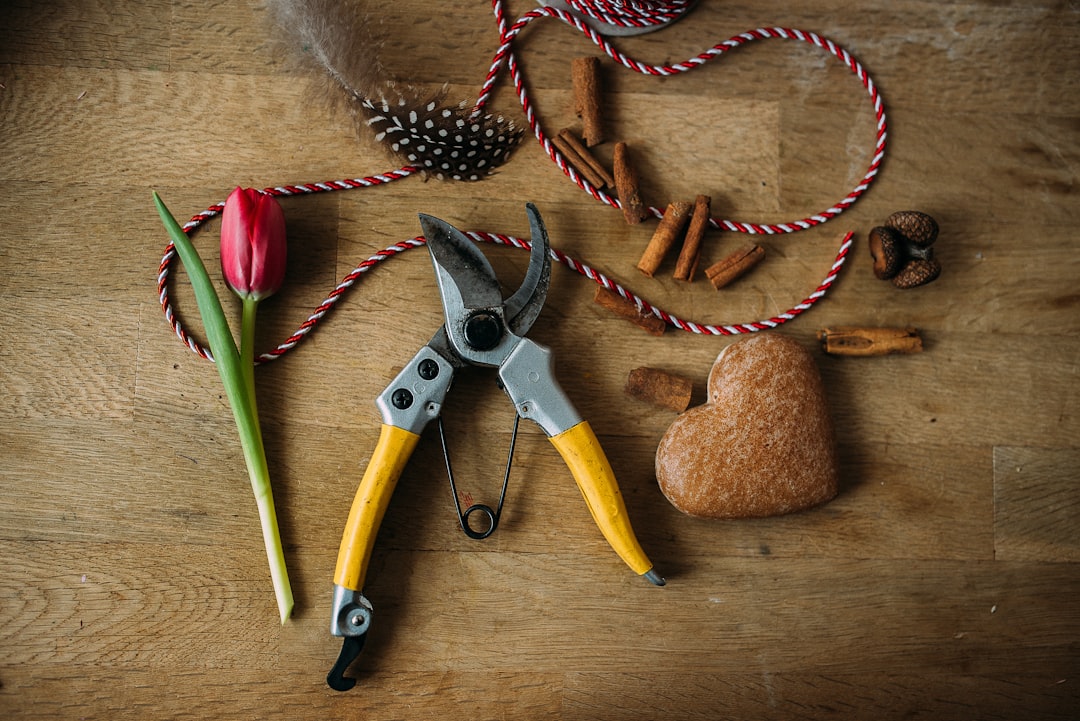 sécateurs suisses de haute qualité pour une taille précise et efficace. parfaits pour les jardiniers exigeants recherchant performance et durabilité.