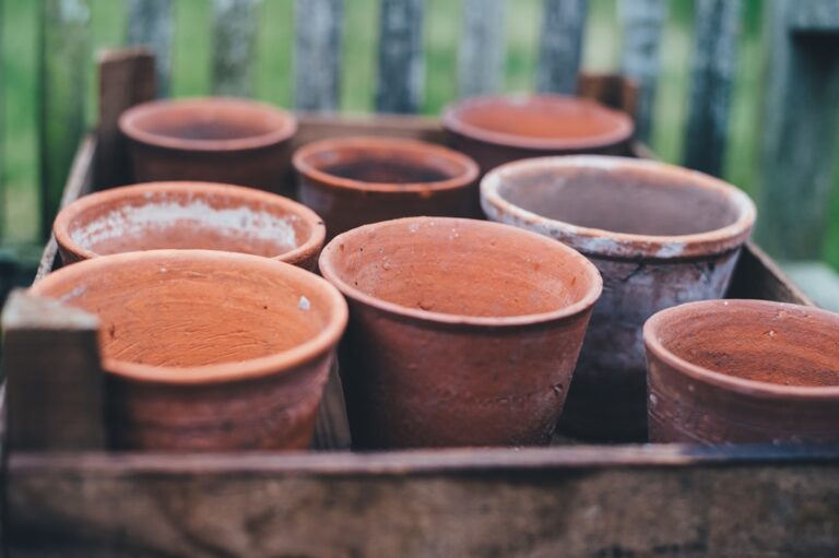 découvrez des idées créatives pour réutiliser vos pots en terre cuite et leur donner une seconde vie écologique et esthétique.