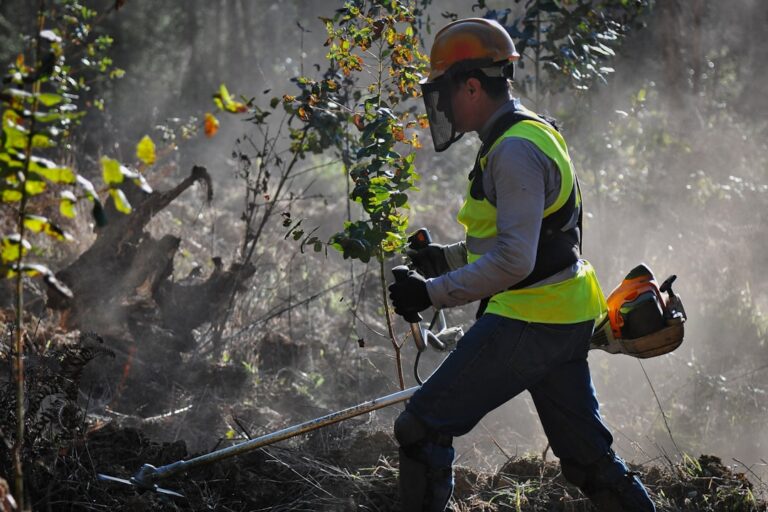 découvrez notre débroussailleuse thermique puissante et efficace, idéale pour l'entretien de votre jardin et le nettoyage des terrains difficiles.