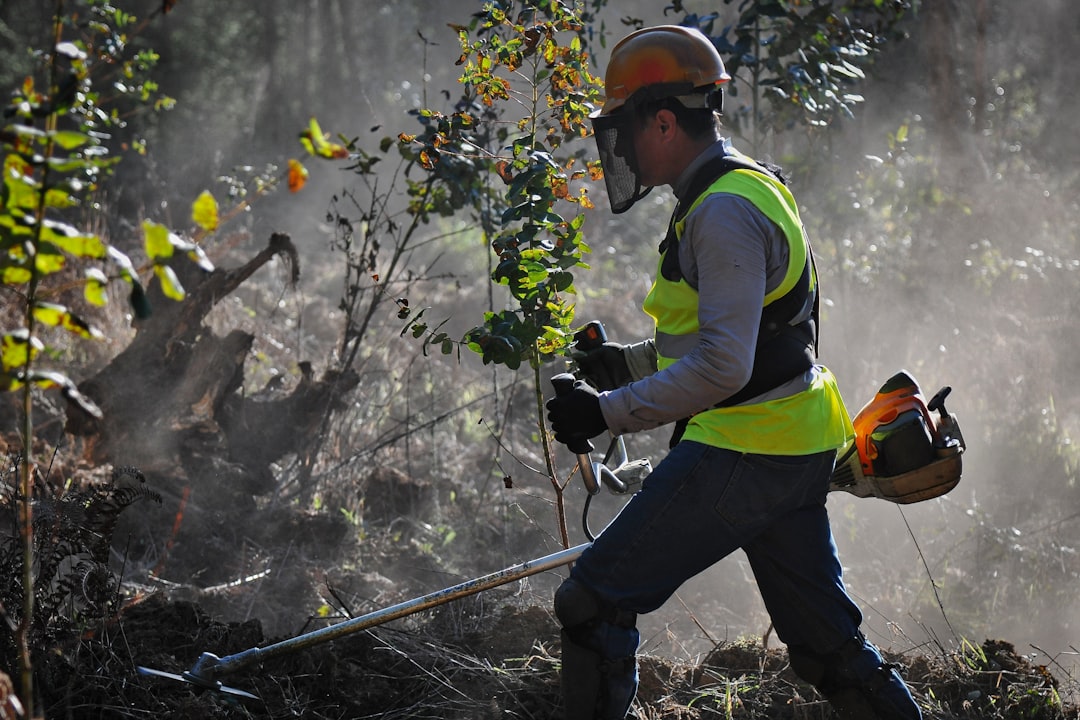 découvrez notre débroussailleuse thermique puissante et efficace, idéale pour l'entretien de votre jardin et le nettoyage des terrains difficiles.