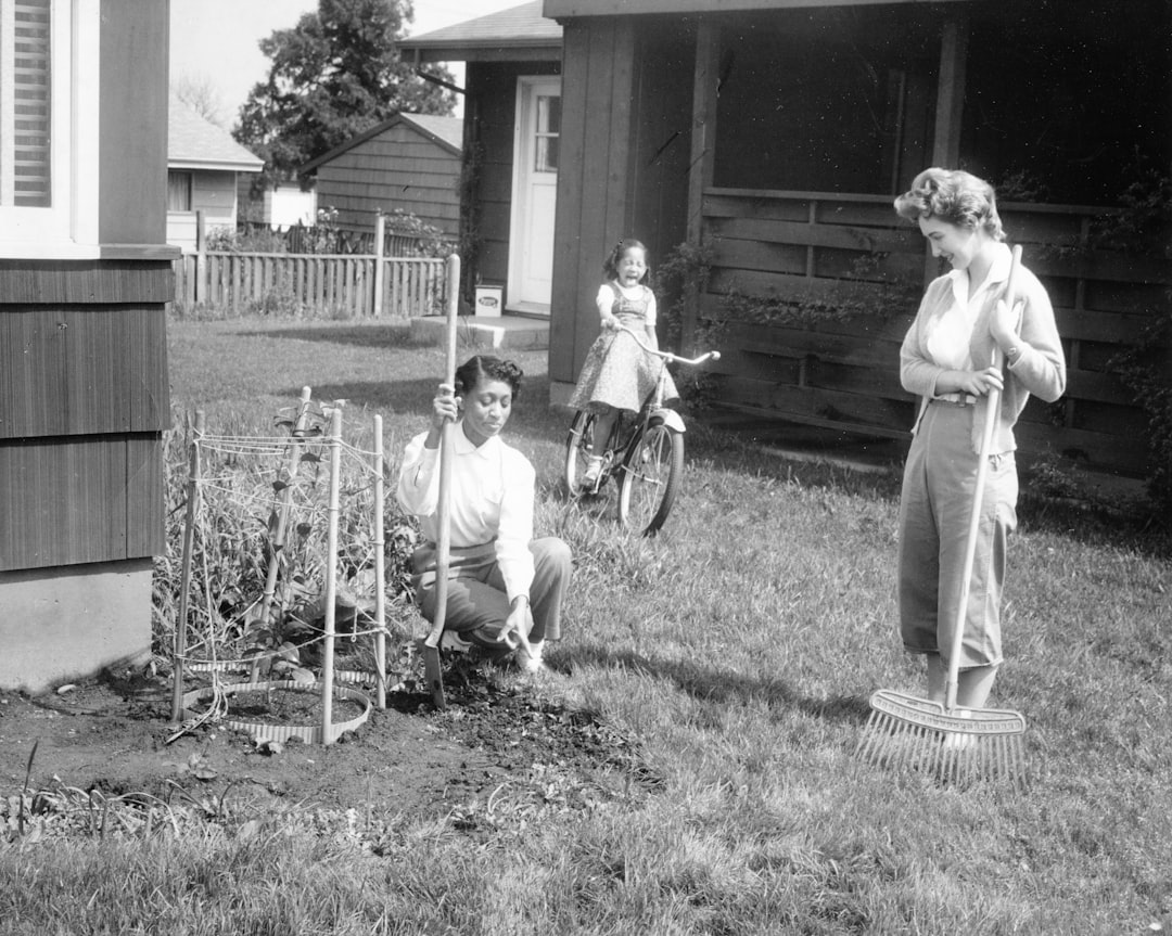 découvrez la technique traditionnelle du jardinage des trois sœurs : maïs, haricots et courges cultivés ensemble pour un potager naturel et productif.