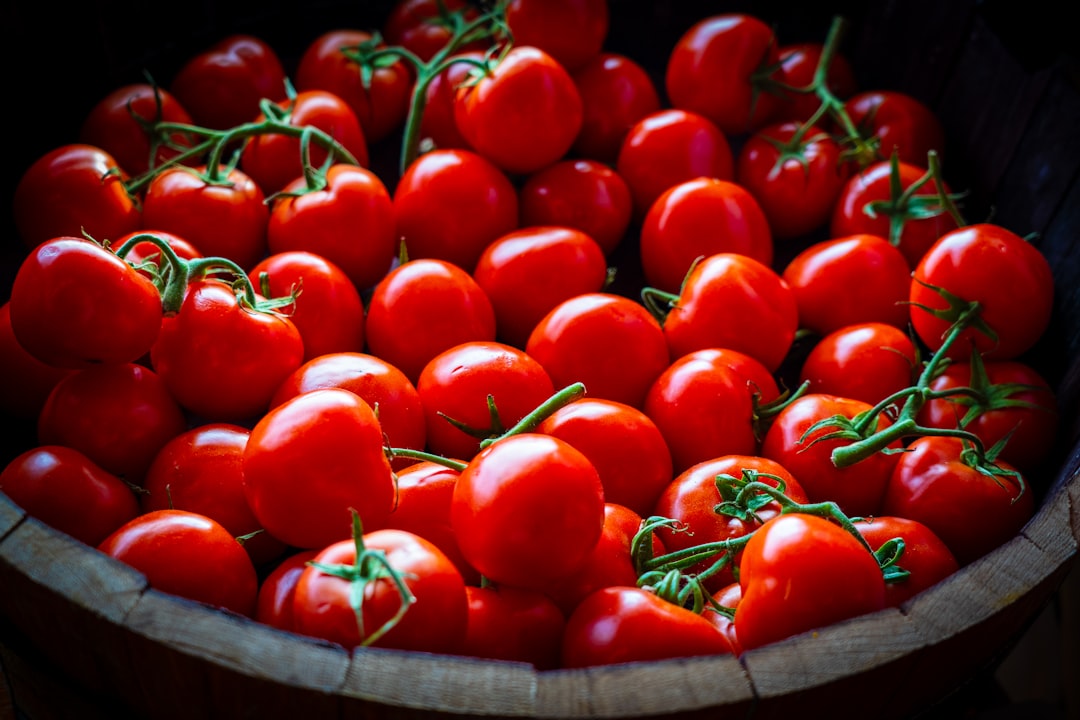 découvrez les meilleures astuces et périodes idéales pour la récolte des tomates afin d'assurer une saveur optimale et une qualité exceptionnelle.