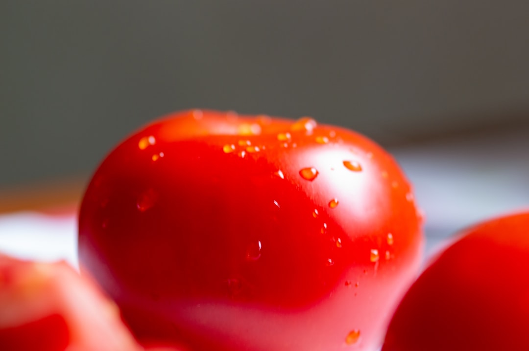 découvrez nos conseils et astuces pour protéger vos tomates contre les maladies et les ravageurs. assurez-vous d'avoir une récolte saine et abondante grâce à nos méthodes naturelles et efficaces de protection des plants de tomate.