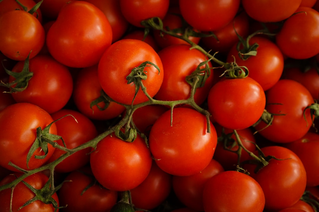 découvrez tout sur la tomate : ses bienfaits, ses variétés, et comment l'intégrer facilement dans vos recettes pour une alimentation saine et savoureuse.