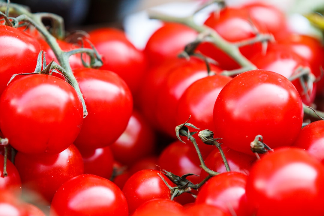 découvrez tout sur les tomates : variétés, bienfaits nutritionnels, recettes délicieuses et conseils de culture. apprenez à apprécier ce fruit polyvalent et savoureux qui enrichit vos plats.