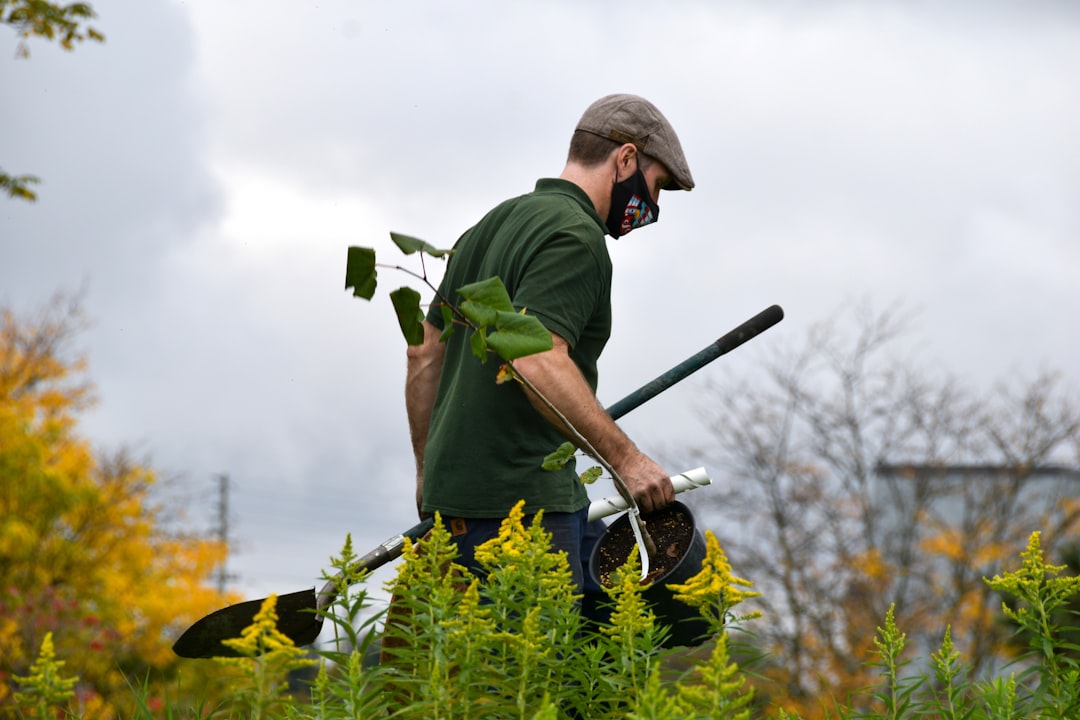 découvrez l'importance de la plantation d'arbres pour la planète. participez à des initiatives locales et apprenez comment chaque arbre contribue à la biodiversité, à la lutte contre le changement climatique et à l'amélioration de notre environnement.