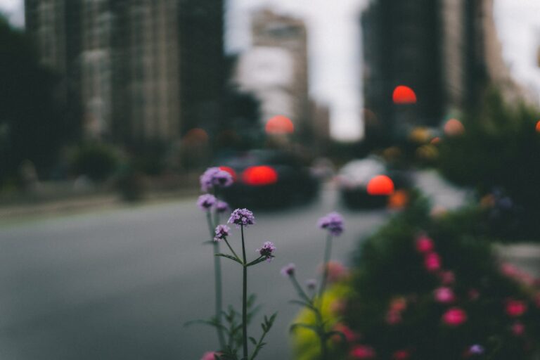 découvrez urban gardener, le podcast dédié aux passionnés de jardinage en milieu urbain. conseils pratiques, astuces écologiques et interviews inspirantes pour transformer votre espace urbain en un véritable jardin.