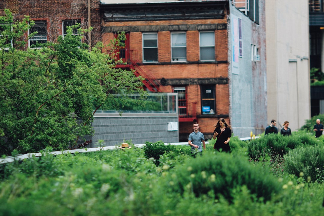découvrez les astuces et conseils pour le jardinage urbain, créer un espace vert chez vous en ville, cultiver vos propres légumes et fleurs même sur un balcon ou une petite terrasse.