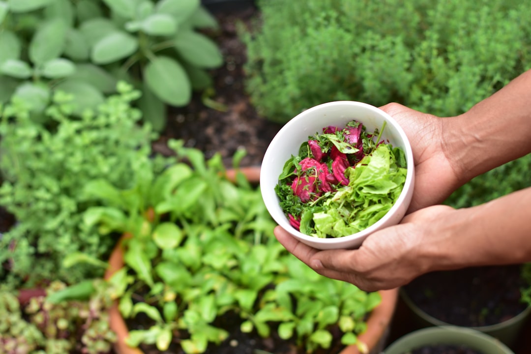 découvrez l'art du jardinage urbain : astuces, conseils et idées pour cultiver vos plantes en ville et transformer vos petits espaces en oasis de verdure.