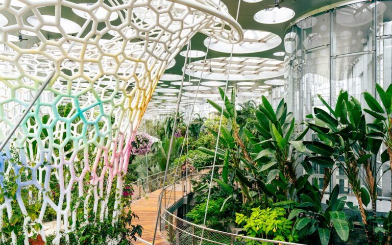 découvrez urban oasis, un espace moderne et apaisant au cœur de la ville, alliant design contemporain et nature pour un véritable havre de paix urbain.