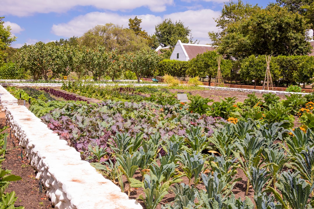 conseils et astuces pour entretenir votre jardin potager et cultiver des légumes sains et abondants toute l'année.