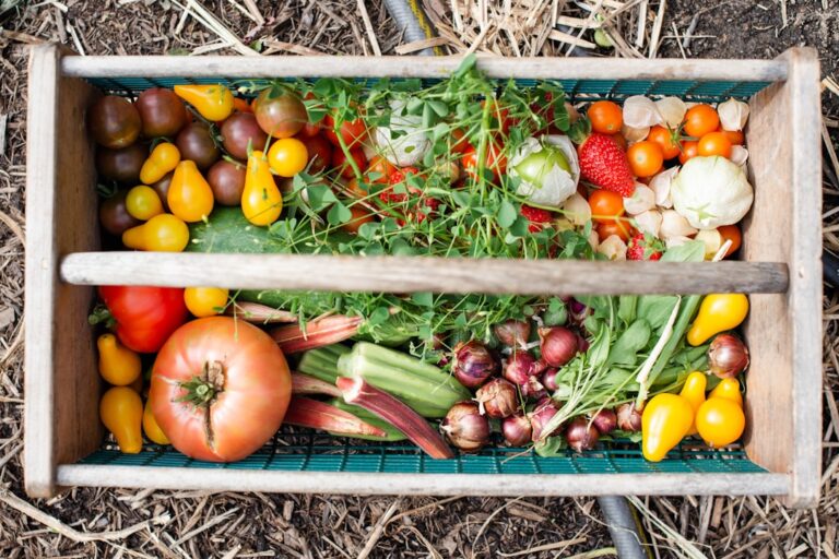 conseils essentiels pour entretenir votre potager : astuces pour arroser, fertiliser et protéger vos légumes pour une récolte abondante.