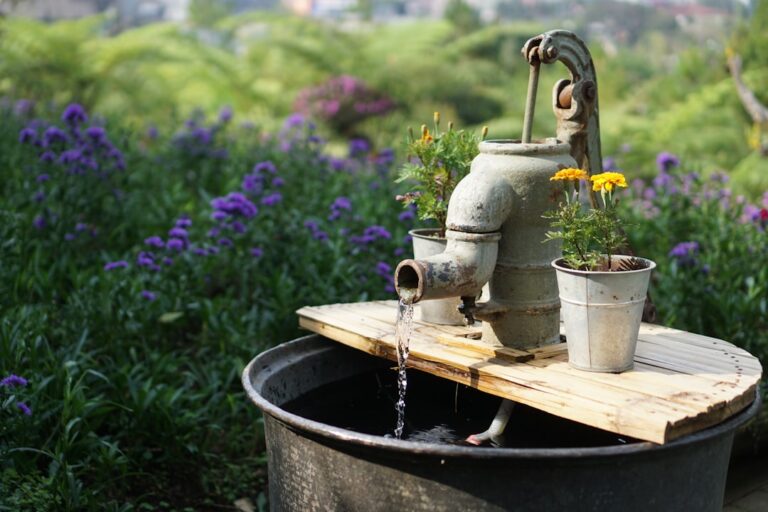 découvrez les tendances actuelles du jardinage économe en eau : astuces, techniques innovantes et choix de plantes adaptés pour préserver la ressource et obtenir un jardin luxuriant tout en réduisant votre consommation d'eau.