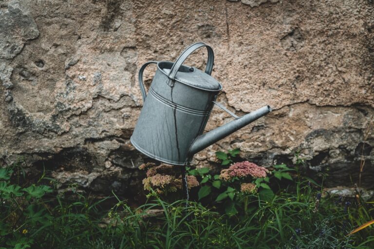 conseils et techniques efficaces pour arroser vos plantes et jardins afin de garantir leur santé et leur croissance optimale.