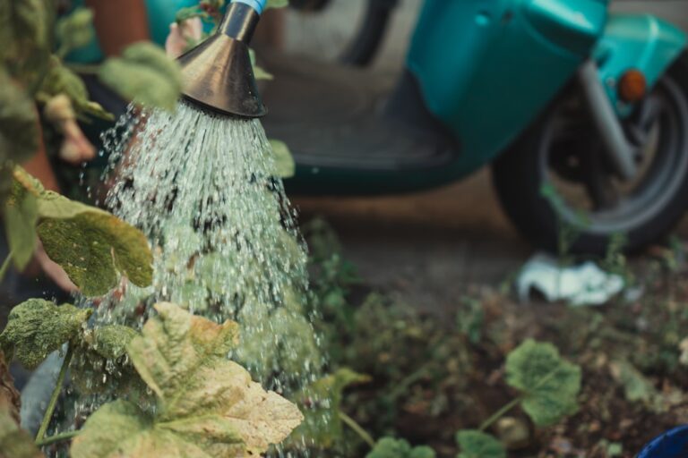 découvrez les meilleures techniques d'arrosage pour vos plantes afin de garantir leur santé et leur croissance optimale.