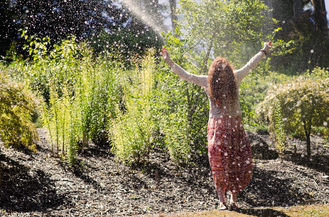 fréquence d'arrosage optimale pendant une vague de chaleur pour préserver vos plantes et économiser l'eau.