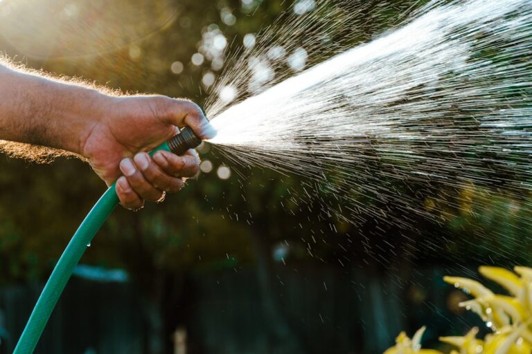 découvrez à quelle fréquence arroser vos plantes lors d'une vague de chaleur pour assurer leur santé et éviter le stress hydrique.