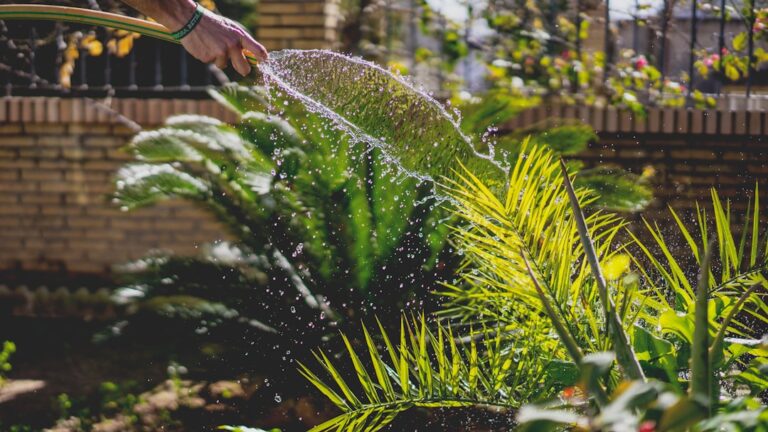 découvrez un planning d'arrosage efficace pour maintenir vos plantes en bonne santé toute l'année.