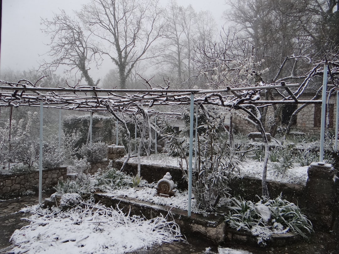 préparez votre jardin d'hiver avec nos conseils pratiques pour protéger vos plantes, optimiser l'aménagement et profiter d'un espace verdoyant même en saison froide.