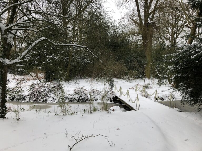 découvrez nos conseils essentiels pour préparer votre jardin en hiver et assurer la protection de vos plantes tout au long de la saison froide.