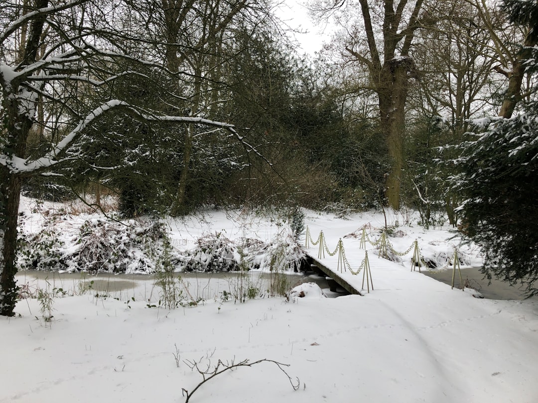 découvrez nos conseils essentiels pour préparer votre jardin en hiver et assurer la protection de vos plantes tout au long de la saison froide.